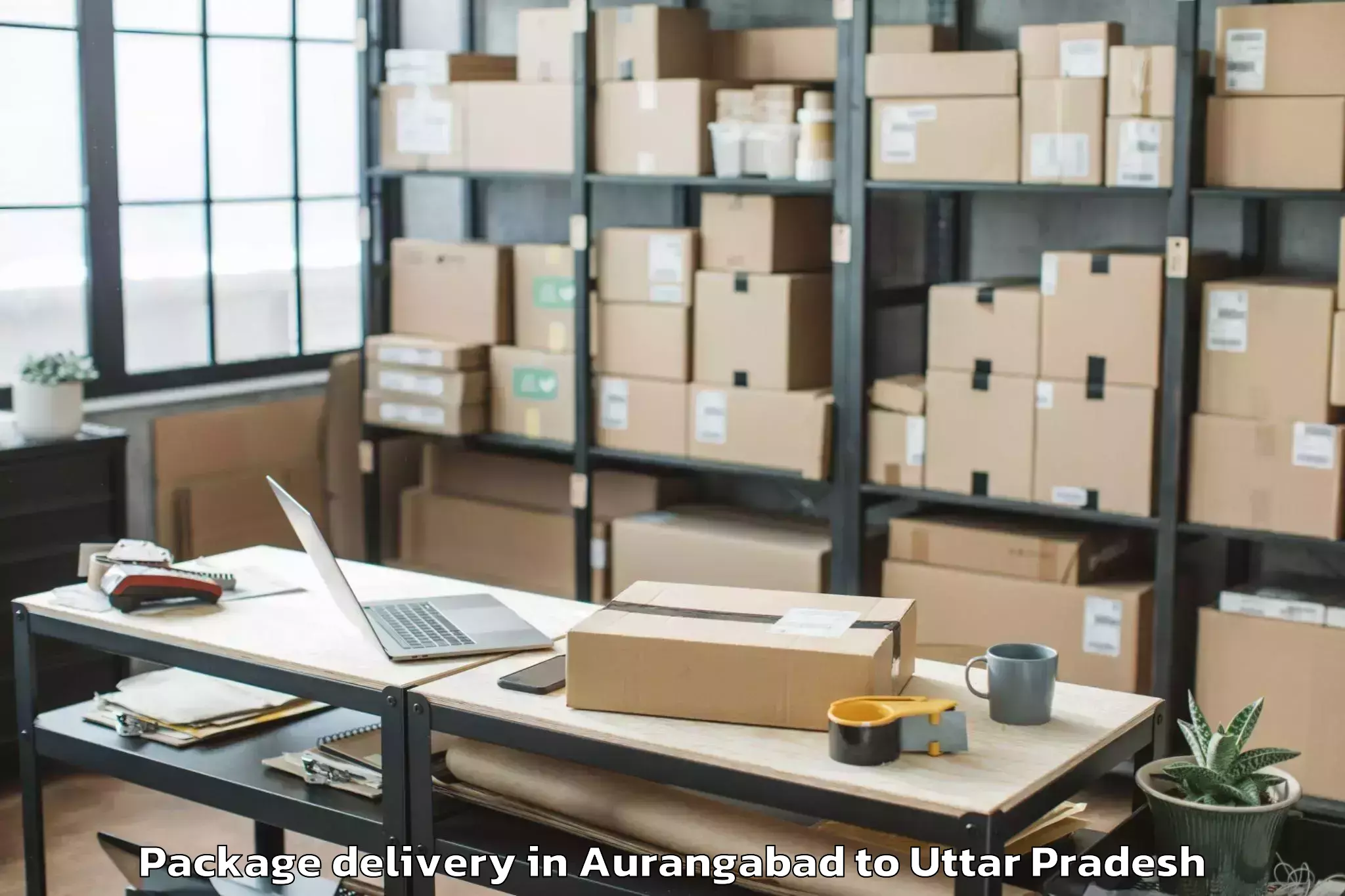 Quality Aurangabad to Samthar Package Delivery